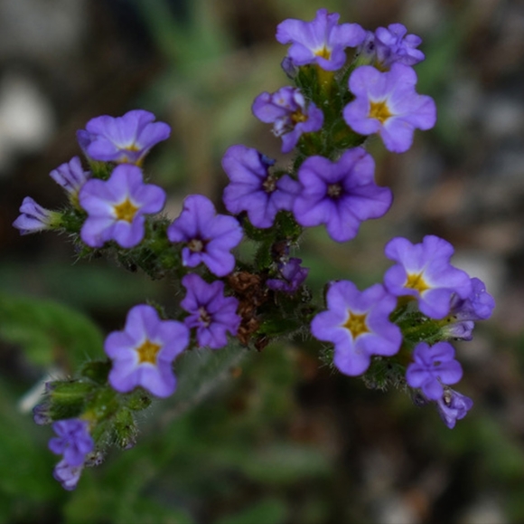 FOLLOW MY ETSY SHOP IN MY BIO - Picture 8 of 9